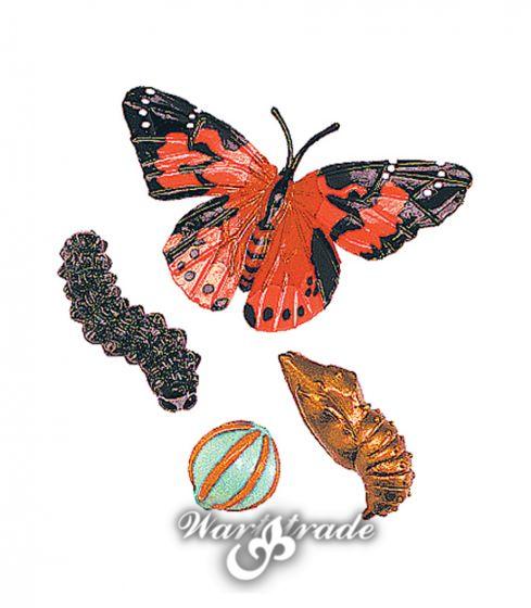 Životní cyklus - Motýl