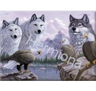 Malování podle čísel- Vlci a orli