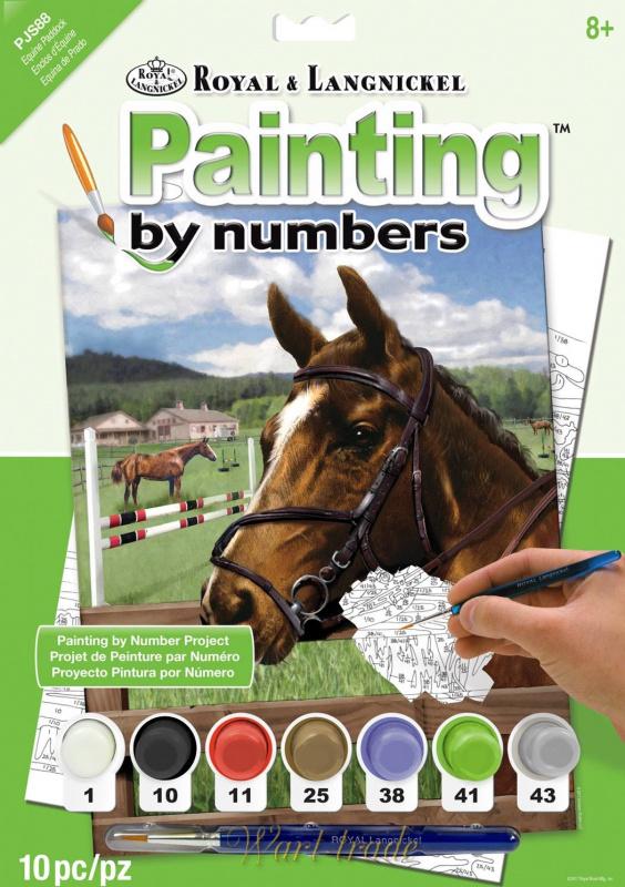 Malování podle čísel- Kůň v ohradě