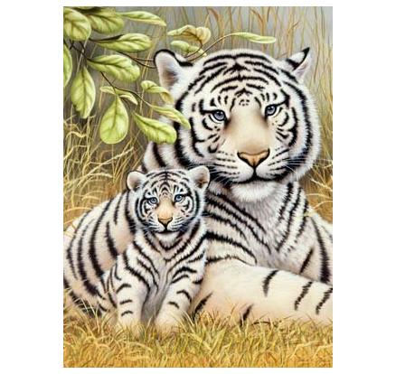 Malování podle čísel - Tygr-matka s mládětem