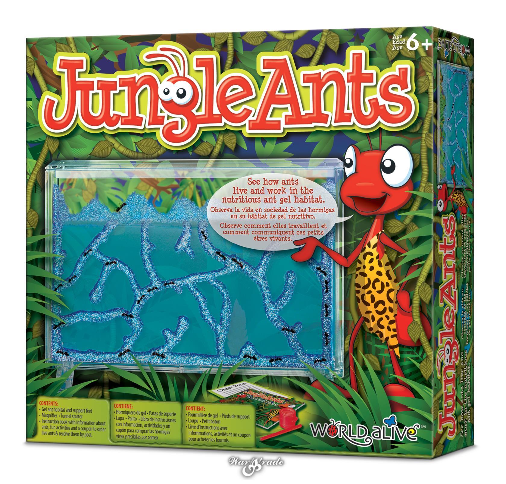 Jungle Ants - gelové mraveniště
