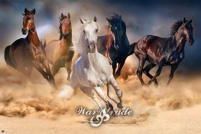   5D diamantové  malování  Koně v běhu