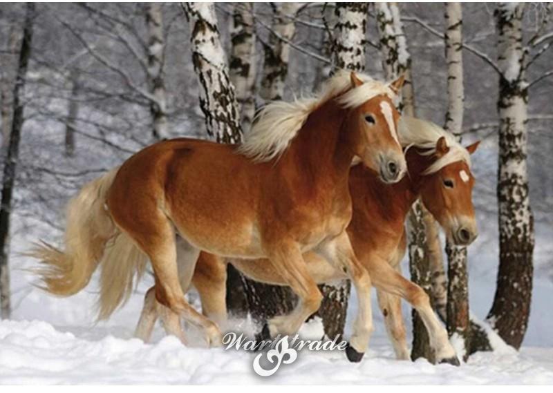   5D diamantové  malování  Koně v zimě