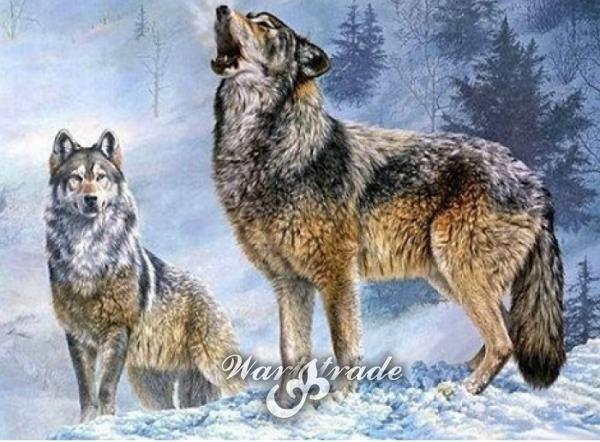   5D diamantové  malování Vlk s vlčicí
