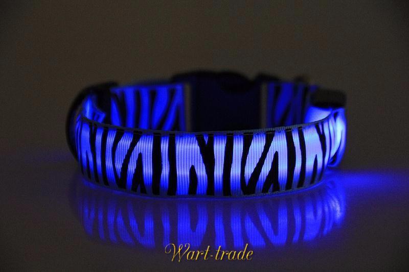 Obojek zebra LED modrý