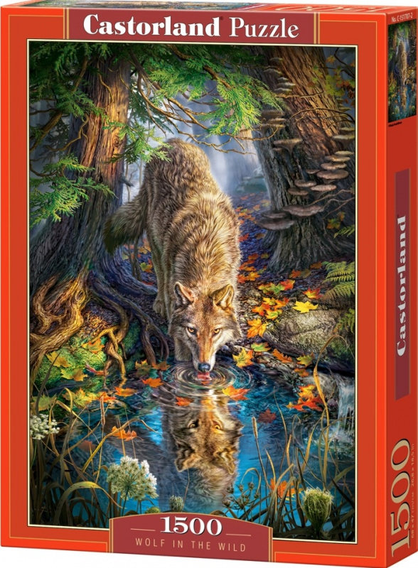Puzzle 1500 dílků-  Pijící vlk v divočině