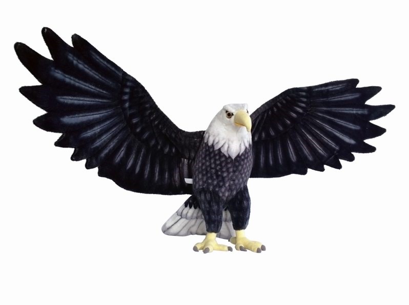Orel s rozpětí křídel 150 cm