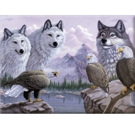 Malování podle čísel- Vlci a orli