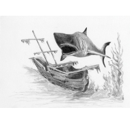 Malování SKICOVACÍMI TUŽKAMI- Žralok