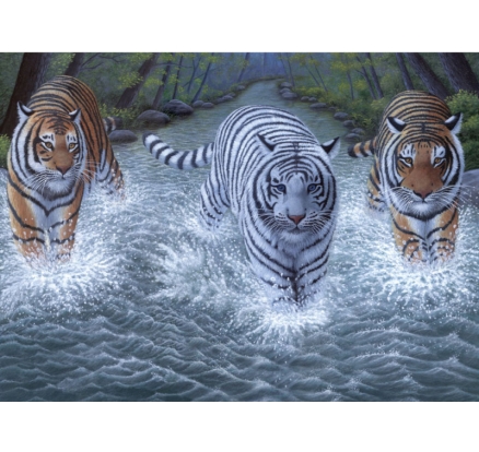 Malování podle čísel 30x40 cm- Tři tygři