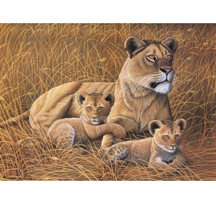 Malování podle čísel 30x40 cm- Lvice a lvíčata