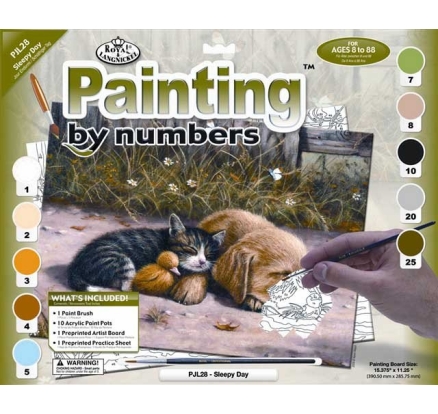 Malování podle čísel 30x40 cm - Spící pes s kočkou