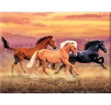Malování podle čísel 30x40 cm - Běžící koně