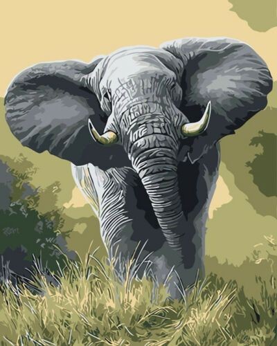 Diamantové  malování slon 11