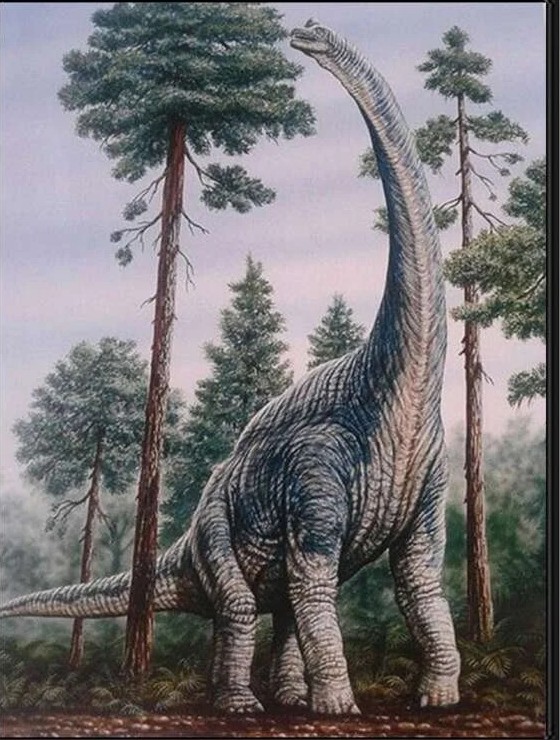 Diamantové  malování Brontosaurus
