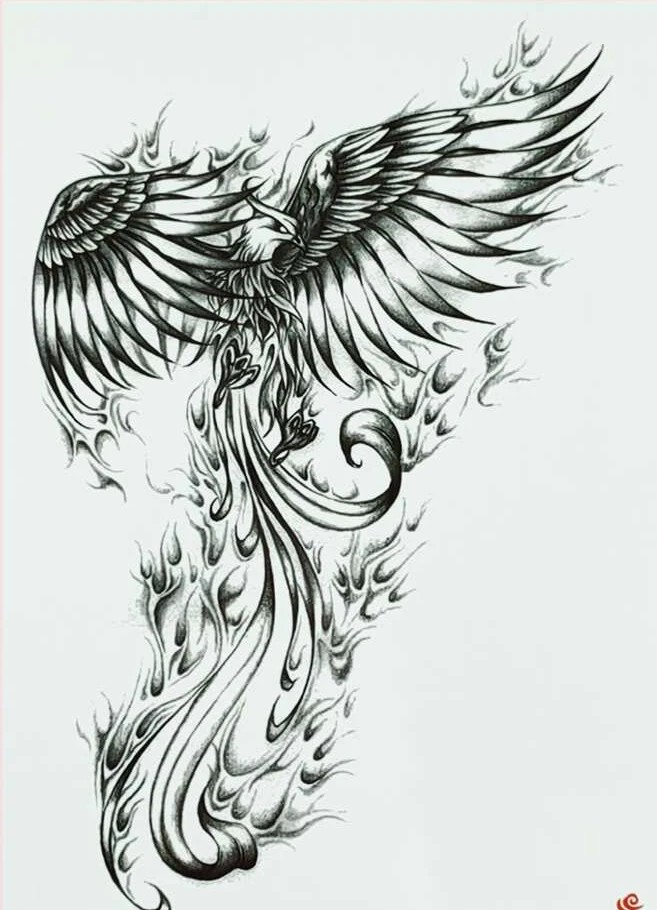 Dočasné tetování -  Phoenix 