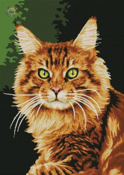   5D diamantové  malování  Kočka