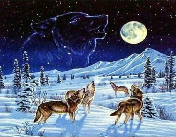   5D diamantové  malování  Vlci v zimě