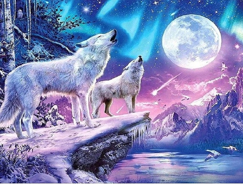   5D diamantové  malování  Dva vlci