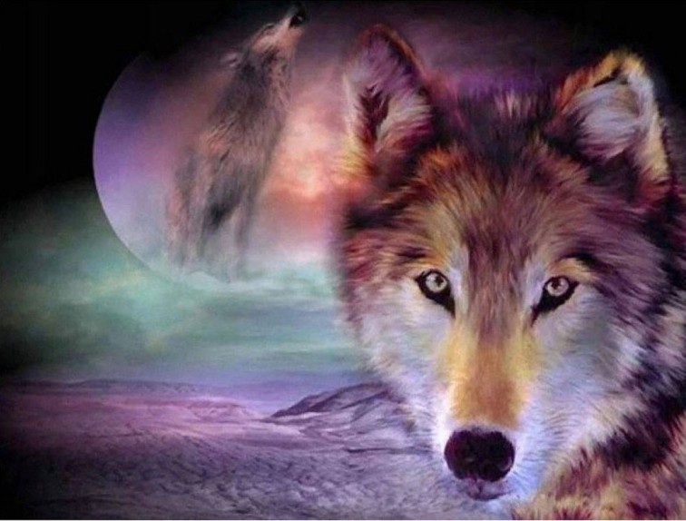   5D diamantové  malování  Vlk