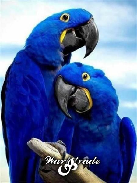  5D diamantové malování Papoušek modrý