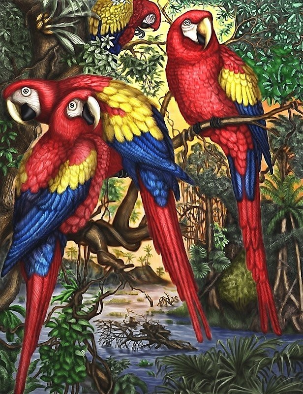 Diamantové malování obraz papoušků a rostlin