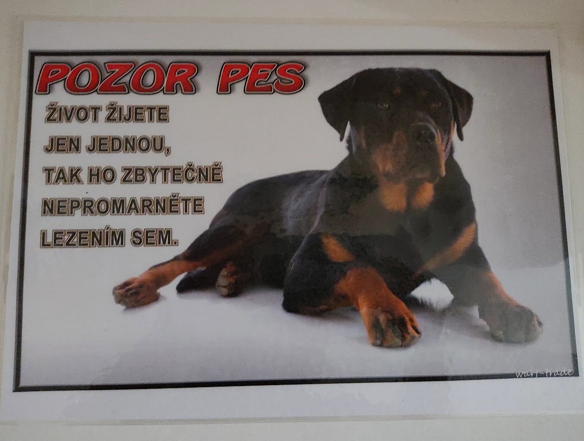 Vtipná laminovaná cedulka POZOR PES  život 