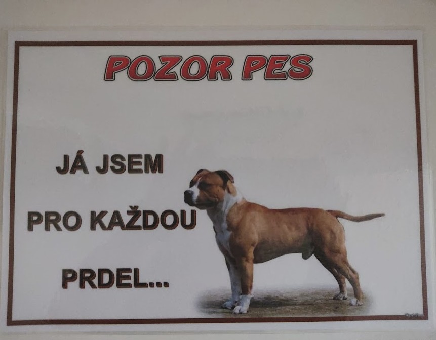 Vtipná laminovaná cedulka POZOR PES  já jsem 