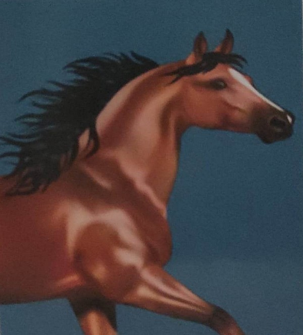 Diamantové malování běžící kůň