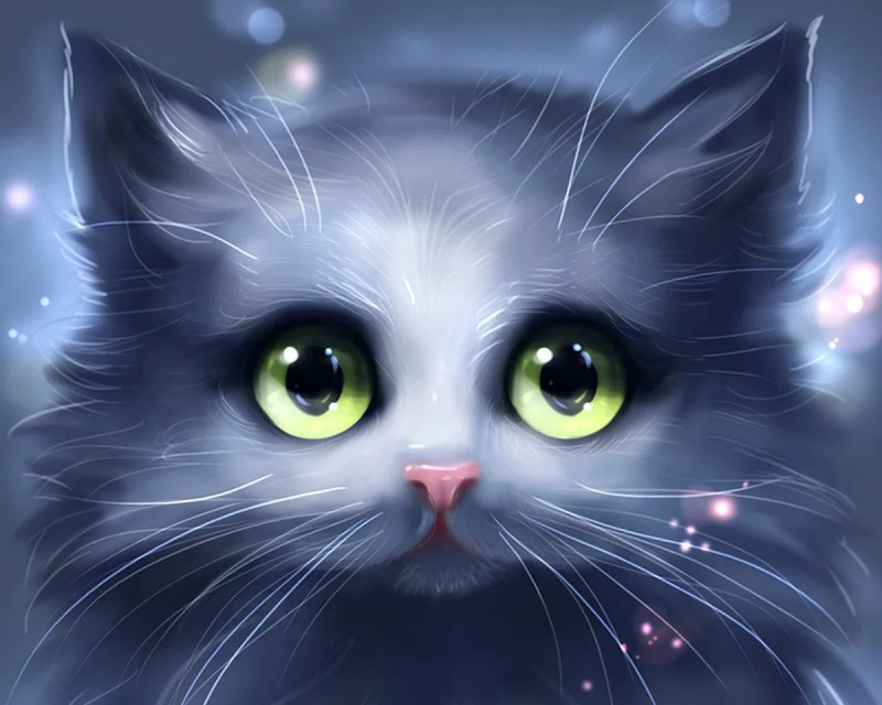 Diamantové  malování Vyděšená kočka