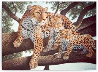 Malování podle čísel- Leopard s mláďaty