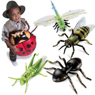 Životní cykly hmyzu