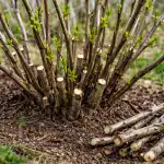 Porque é que a primavera é ideal para trabalhar porque-e-que-a-primavera-e-ideal-para-trabalhar.png